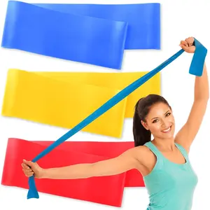 Resistance Bands with Instruction Guide & Carry Bag - Latex Free Exercise Band for Working Out, Physical , Rehab, Stretch, Yoga & Pilates, Set of 3