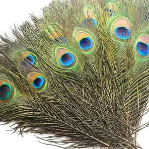 50 Pcs 10-12 Inch (25-30 cm) Peacock Feathers, Bulk Home & Festive Decorations for DIY Crafts, Vase Displays, Christmas Parties