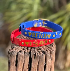 Valentines Biothane Dog Collar - Custom Name, Waterproof Vegan Leather, Heart Accents, Durable & Eco-Friendly, Perfect for Outdoor & Indoor Use, 100% USA Handmade