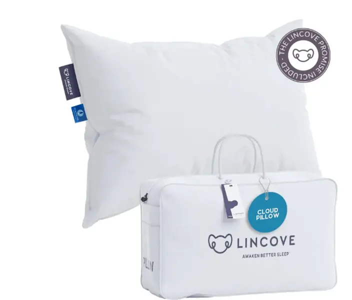 Cloud Canadian Down Pillow-Queen-Medium