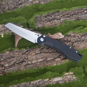 Folding Pocket Knife, D2 Steel Blade and Black G10 Handle, Small EDC Knife with Pocket Clip for Camping Hiking Outdoor Gifts