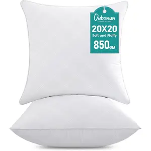 20x20 Throw Pillows Inserts Pack of 2, Decorative White Square Pillow Inserts, Premium Fluffy Pillow Insert Pair for Sofa Couch Living Room