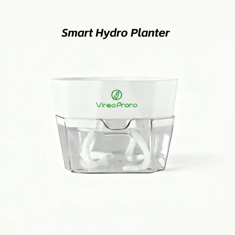 Brazilian Lucky Wood Hydroponic Flower Pot - Luck & Prosperity Symbol, Easy Indoor Growth, Included Hydroponic Setup, Humidity-Boosting, Stress-Reducing Garden Planter, Hydroponic Flower Pots
