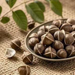 50 Moringa Seeds for Planting, Non-GMO Drumstick Tree Seeds, Easy to Grow Tropical Tree Seeds, Suitable for Home Garden, Outdoor Planting Seeds Only