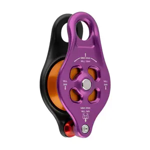 DMM Purple Pinto Rig 2
