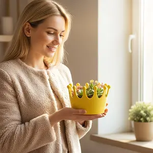 Crown Storage Box for Bedroom Living Room, Succulent Planter, Home Jewelry Key Organizer, Decorative Box for Small Items