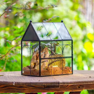 NCYP Glass Enclosure with Vent Holes for Insect, Jumping Spiders, Snails - 7.5" x 4.9" x 9" Small Closed Front Opening Door Terrarium(No Plants)