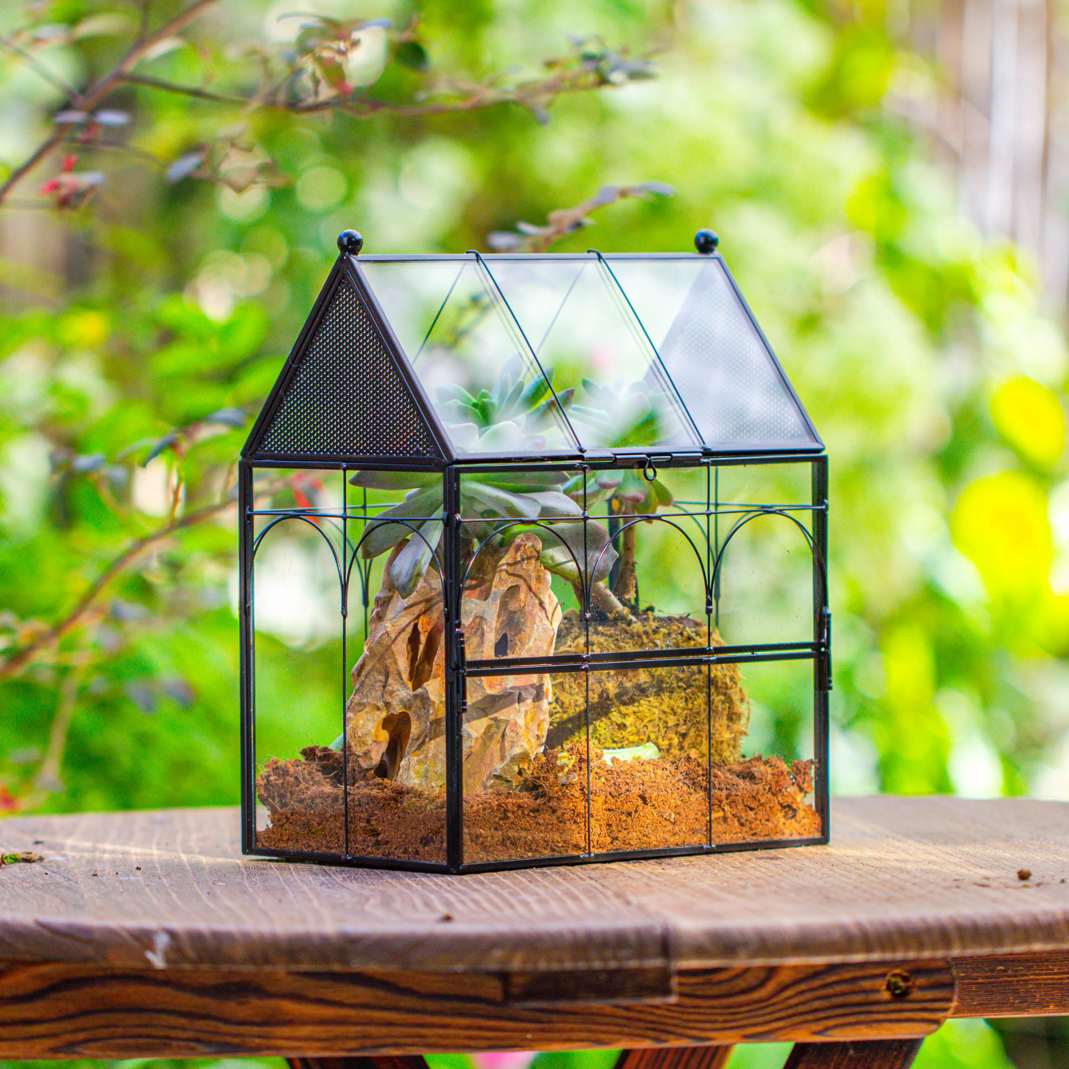 NCYP Glass Enclosure with Vent Holes for Insect, Jumping Spiders, Snails - 7.5" x 4.9" x 9" Small Closed Front Opening Door Terrarium(No Plants)