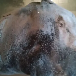 Women's Black Bathrobes, Womenswear Loungewear Gowns for Sleep & Relaxation