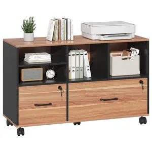 Semoic 2-Drawer Lockable File Cabinet for Home Office, Rolling Printer Stand with Shelves, Adjustable Filing for A4/F4