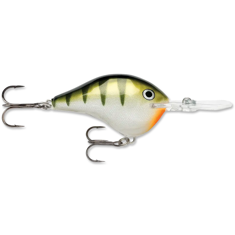 Yellow Perch