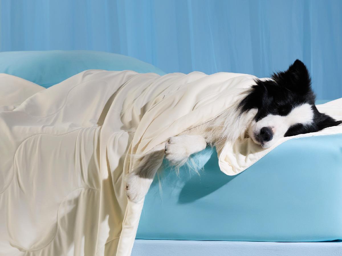 Bedsure Premium Cooling Lightweight Blanket for Pet - Q-MAX>0.4 Breathable Summer Washable Cold Pet Throw Blanket, Soft Durable Self Cooling Cat Dog Mat for Hot Weather