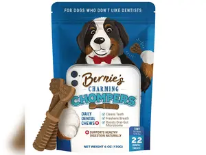 Bernie's Charming Chompers