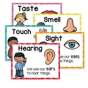 Five Senses Posters Set of 5, Frameless Educational Charts for Classroom Library Game Room, Student Teacher Learning Materials