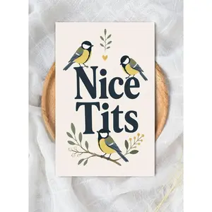 Cute Animal Humor Birthday Card, Nice Tits Bird Pun Greeting Card, Editorial Typography Scandinavian Aesthetic