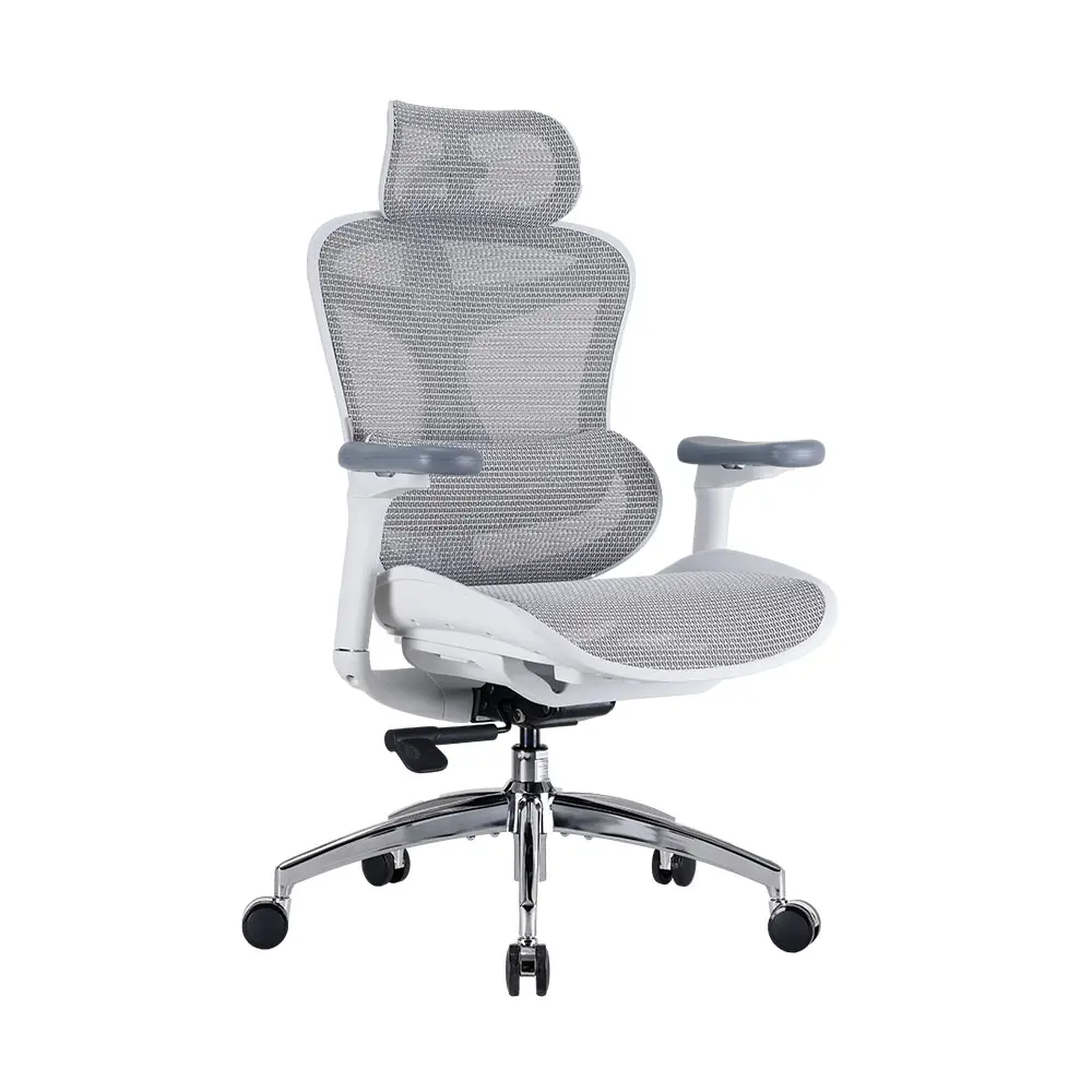 SIHOO Doro C300 Ergonomic Chair for Long Sitting, Adaptive Lumbar Support, Fully Adjustable Desk Chair for Work & Gaming