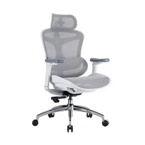 SIHOO Doro C300 Ergonomic Chair for Long Sitting, Adaptive Lumbar Support, Fully Adjustable Desk Chair for Work & Gaming