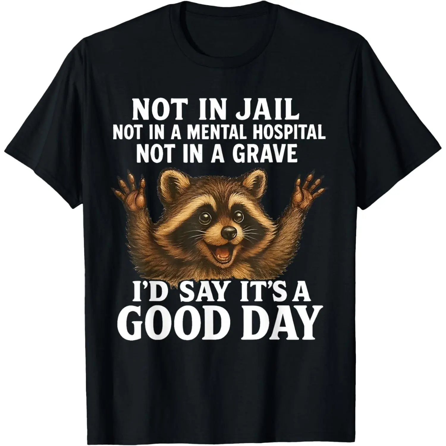 Women's Cotton Short-Sleeve Round Neck Everyday T-Shirt - Relaxed-Fit Casual Top, Funny "Raccoon Not in Jail, Not in A Mental Hospital" Saying Piece, Tee