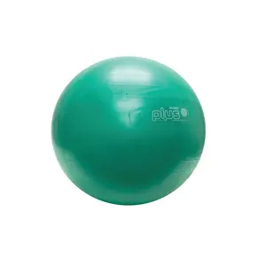 Physiogymnic  26 in. Inflatable Exercise Ball, Green