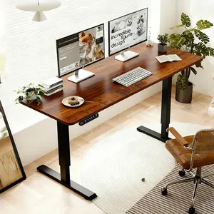 55 Inch Brown Desktop Sit Stand Desk (Home Office, Study & Gaming Ergonomic Electric Adjustable Height Desk) - 27"To 45"Height, 4 Memory Presets & 20W Fast Charging