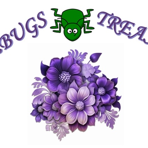 Junebugs Treasure