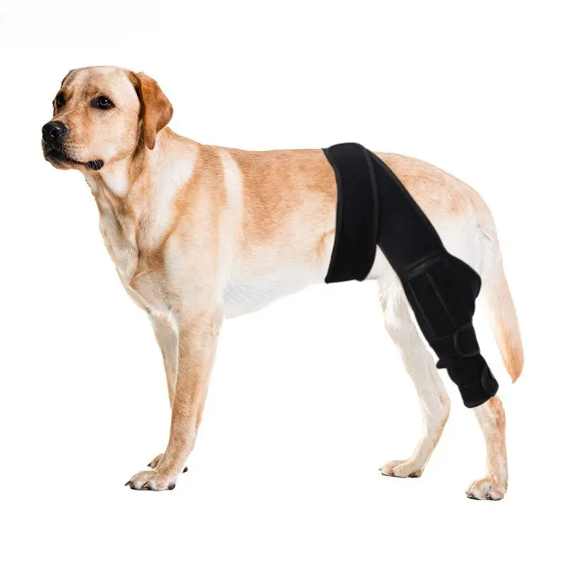 Dog Knee Brace for Hind Limb Joints - Compression Fit Support, Joint Stabilize, Lick Guard, Prevents Licking & Biting, Aids Recovery Period, Protects Against Backward Dislocation, Pet Healthcare Gear
