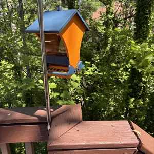 Wildpark Squirrel Proof Bird Feeder – Durable, Vibrant Orange, Perfect for Cardinals & Chickadees – Ideal Gift for Bird Lovers, Moms & Grandmas