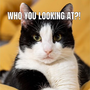 Anthony Z Sierra Store