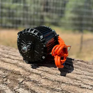 ETM RTR High Torque Mod Motor