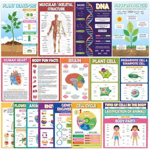 18 Pcs Biology Science Cognitive Posters, Waterproof English Wall Charts, Middle School High School, Classroom Hanging Maps, Classroom Supplies Charts