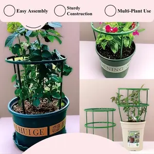Tomato Cage, 3 Packs Small Vertical Plant Support Cage, Easy to Assemble, Sturdy Round Plant Cage for Pots, Garden, Tomato, Eggplant, Strawberry and Other