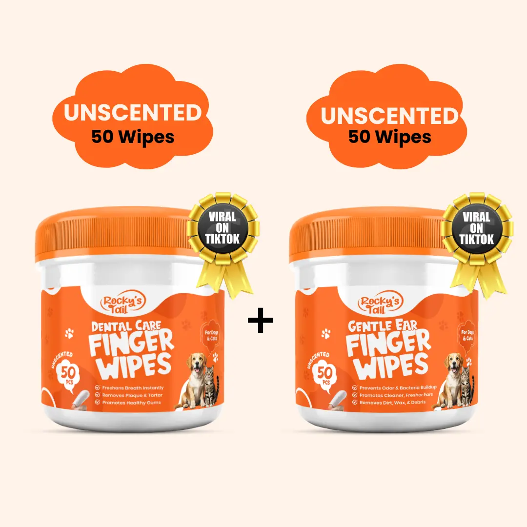 2 Pack - Dental + Ear Wipes (Unscented)