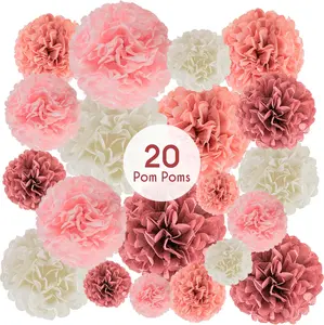 20 Piece Tissue Paper Pom Poms Blush Pink, Dusty Rose, Mauve & Cream | Colorful Paper Flower Wall Decorations for Bridal Showers, Baby Showers, Weddings, Graduations, Tea Parties & More No Brand