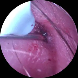 review image 11