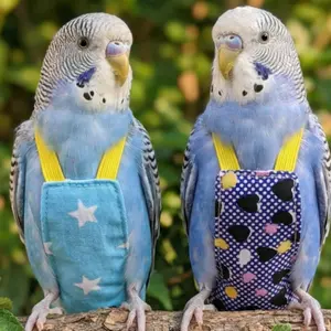 Bird Flight Harness Vest, Quick-Release Design, Rope and Handle Included, Suitable for Long-Tailed Parrots, Australian Wrens, Kuru Parrots, Swordtail Parrots