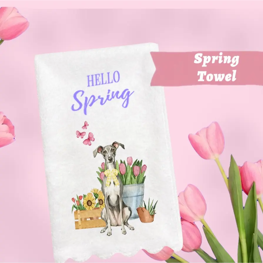 44-Italian Greyhound