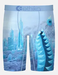 ETHIKA Bomber City Staple Mens Boxer Briefs