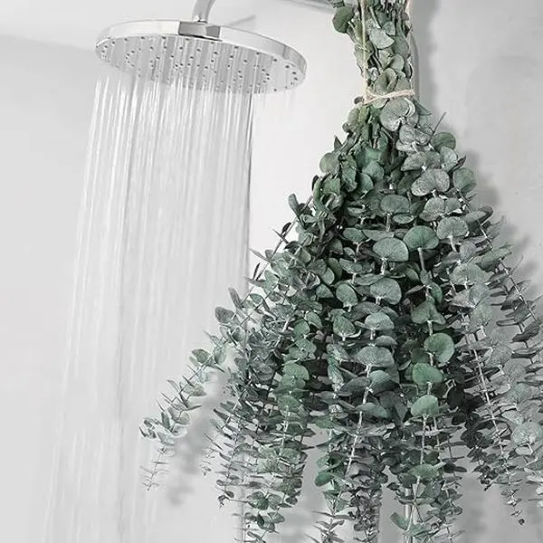 Dried Eucalyptus Bundle for Shower - 17" Large Preserved Eucalyptus Stems Shower Plant, Fresh Real Eucalyptus Leaves for Shower Hanging, Artificial Flowers Arrangement, Home Bathroom Decor Decorative Fruit Bouquet Floral Lavender Leaf Wall Ornaments