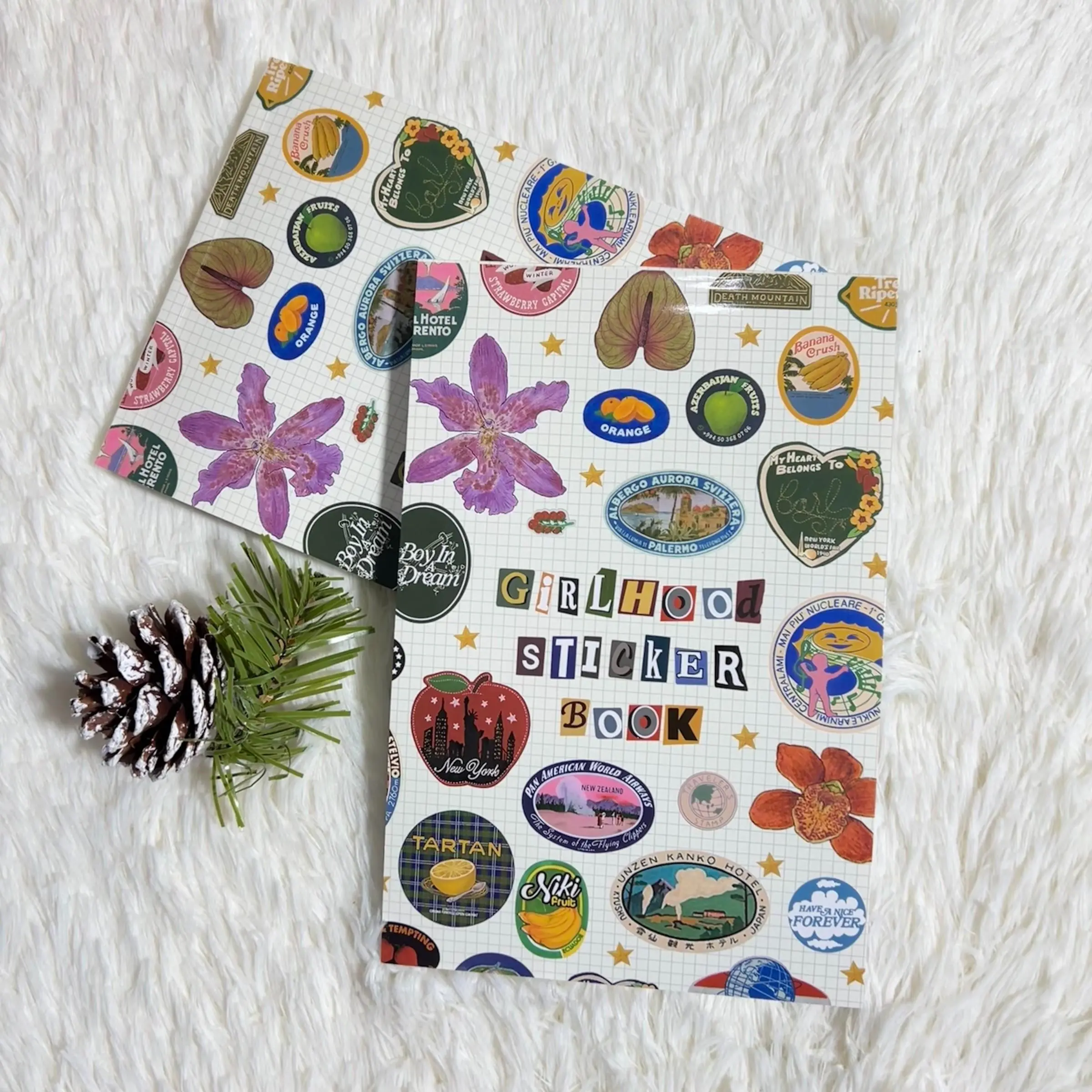 Cute Vintage-Style Girlhood Sticker Book, Art Stickers, Sticker Notepad, Sticker Album for Stamp Collectors, Gift for Friends and Family message Colorful