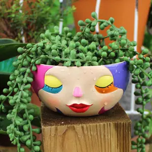 Shy Face Design Flower Pot, 1 Box Colorful Decorative Flower Pot, Suitable for Home Decoration, Living Room Display Rack, Resin Crafts