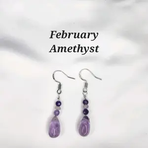 February Birthstone Earrings