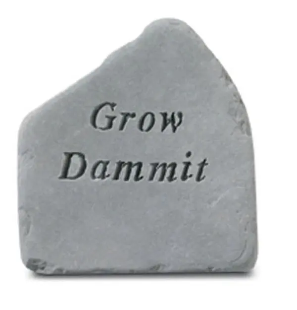 212 MAIN Kay Berry 81220 8x8.5 in Cast Stone Irregular Form Engraved Text Weatherproof Garden Stone, Decor, Outdoor Home Festive Decorations