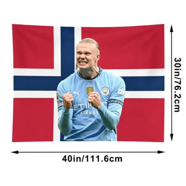 Erling Haaland wearing a "Viking" helmet Norway tapestry Indoor Wall Tapestries Decor