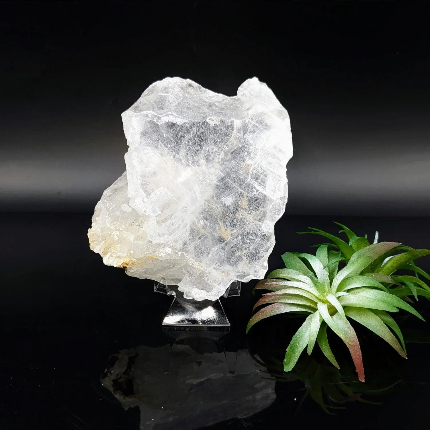 Selenite 5" Glass Specimen #LV6812