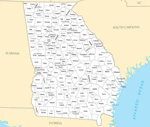 Map of Georgia GA - County Map with selected Cities and Towns - Peel and Stick Wall Decal