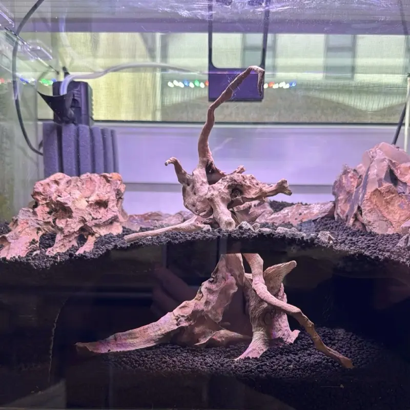 Invisible Aquarium Cave Hideout