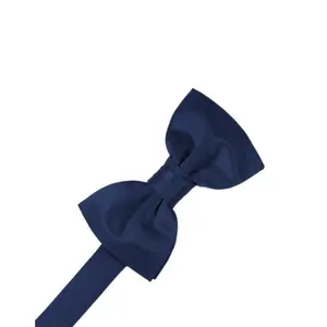 Peacock Luxury Satin Bow Tie