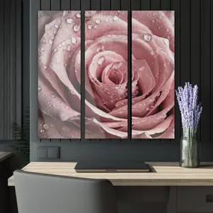 Acrylic Prints (Triptych)