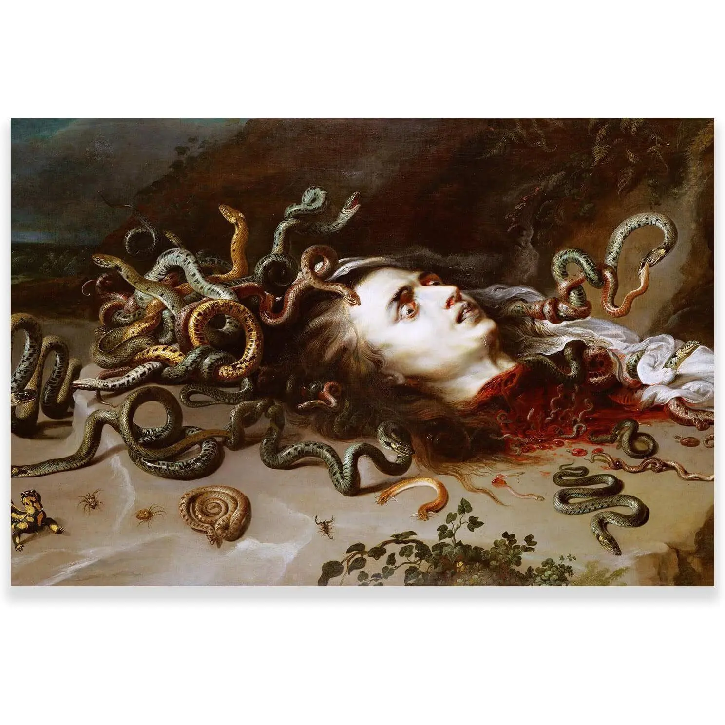 Peter Paul Rubens Wall Art - Head of Medusa Poster - Baroque Art Print Decor Room Gifts Decoration Colorful Ornaments Artistic Photo