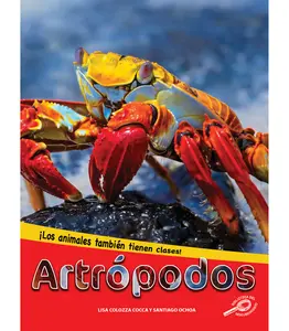 USED-Artrópodos: Arthropods by Cocca, Lisa Colozza (Hardcover)